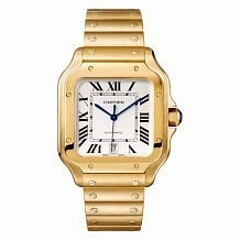 Cartier Santos 2018 Large WGSA0009 12318 - фото 13479