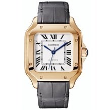 Cartier Santos de Cartier WGSA0012 11585 - фото 13490
