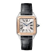 Cartier Santos Dumont Small WSSA0023 11768 - фото 13496