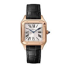 Cartier Santos Dumont Small WSSA0023 12827 - фото 13499
