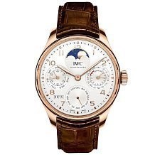 IWC Portugieser Perpetual Calendar IW503302 11365 - фото 13975