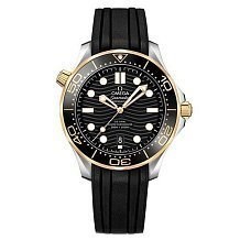 Omega Seamaster 300M Co-Axial Master Chronometer 210.22.42.20.01.001 12759 - фото 14188