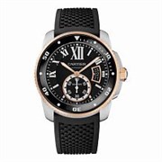 Cartier Calibre de Cartier Diver E274531 11689