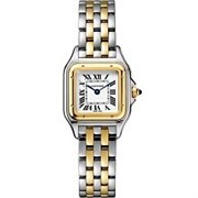 Cartier Panthere de Cartier Small model, yellow gold and steel W2PN0006 11364
