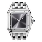 Cartier Panthere Steel 22mm WSPN0010 10363