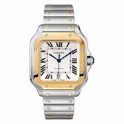 Cartier Santos 2018 Large W2SA0006 11385