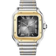 Cartier Santos De Cartier Large Automatic W2SA0030 10259