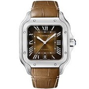 Cartier Santos De Cartier Large Automatic WSSA0064 11065