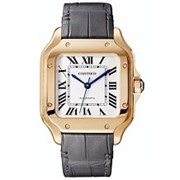 Cartier Santos de Cartier WGSA0012 11585