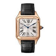 Cartier Santos Dumont Large WGSA0021 10450
