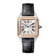 Cartier Santos Dumont Small WSSA0023 11768