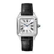 Cartier Santos Dumont Small WSSA0023 12266