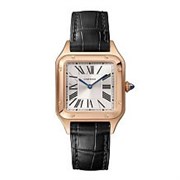 Cartier Santos Dumont Small WSSA0023 12827