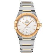 Omega Constellation 131.20.39.20.02.002 11158