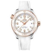 Omega Planet Ocean Seamaster 600 m Co-Axial Master Chronometer 39,5 mm 215.23.40.20.04.001 11907