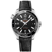 Omega Planet Ocean Seamaster 600 m Co-Axial Master Chronometer 39,5 mm 215.33.40.20.01.001 11493