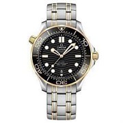 Omega Seamaster 300M Co-Axial Master Chronometer 210.20.42.20.01.002 12769