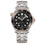 Omega Seamaster 300M Co-Axial Master Chronometer 210.20.42.20.01.002 12783