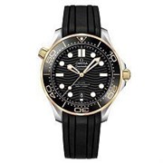 Omega Seamaster 300M Co-Axial Master Chronometer 210.22.42.20.01.001 12759
