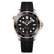 Omega Seamaster 300M Co-Axial Master Chronometer 210.22.42.20.01.001 12839
