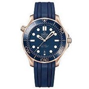 Omega Seamaster 300M Co-Axial Master Chronometer 210.22.42.20.03.001 10276