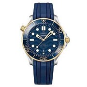 Omega Seamaster 300M Co-Axial Master Chronometer 210.22.42.20.03.001 12527