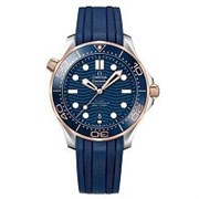 Omega Seamaster 300M Co-Axial Master Chronometer 210.22.42.20.03.001 12830