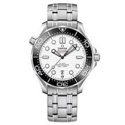 Omega Seamaster 300M Co-Axial Master Chronometer 210.30.42.20.04.001 11834