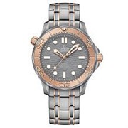Omega Seamaster Diver 300 210.60.42.20.99.001 10504