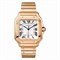 Cartier Santos 2018 Large WGSA0007 12503 - фото 13478