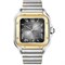 Cartier Santos De Cartier Large Automatic W2SA0030 10259 - фото 13484