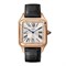 Cartier Santos Dumont Large WGSA0021 10450 - фото 13492