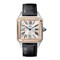 Cartier Santos Dumont Large WSSA0022 11559 - фото 13493