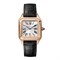 Cartier Santos Dumont Small WSSA0023 12827 - фото 13499