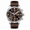 IWC Pilot Watch Chronograph Antoine de Saint Exupery 12415 - фото 13916