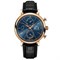 IWC Portofino Chronograph IW391035 12571 - фото 13948
