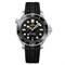 Omega Seamaster Diver 300M 007 James Bond 10110 - фото 14239